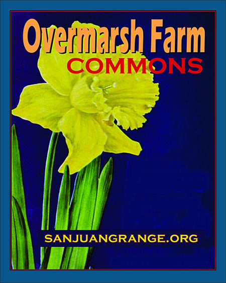Overmarsh Farm Flower