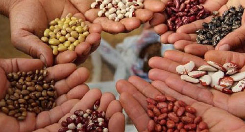 Don't Panic, Prepare